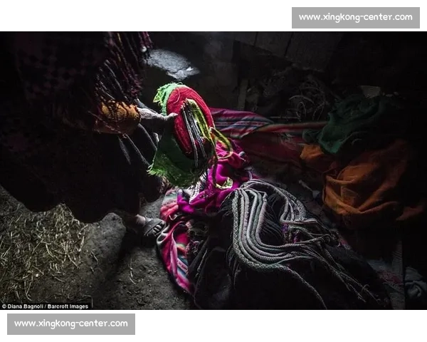 秘鲁神秘之师，能否在2026世界杯创造惊喜